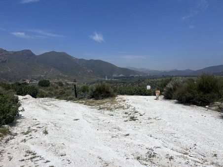 Enlarge photo 59