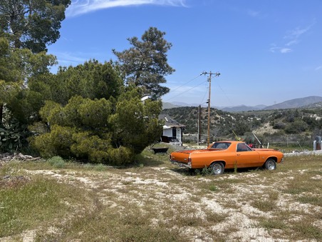 Enlarge photo 7