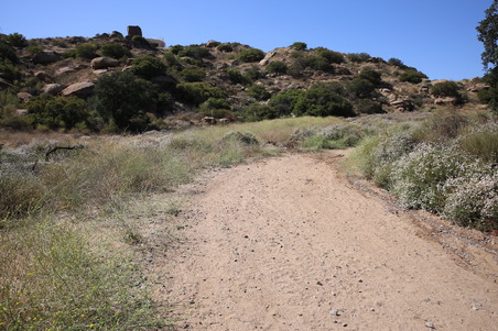 Enlarge photo 3