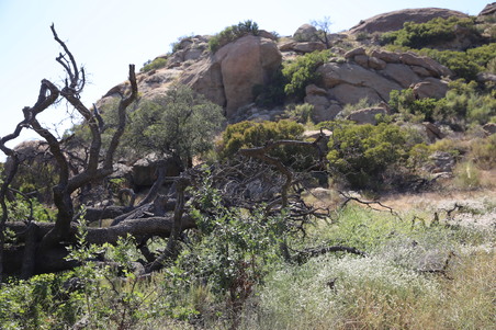 Enlarge photo 5
