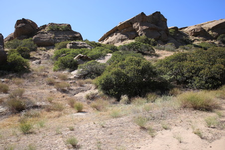 Enlarge photo 14