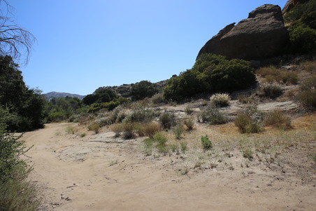 Enlarge photo 15