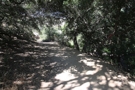 Enlarge photo 16