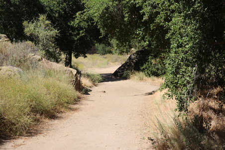 Enlarge photo 21