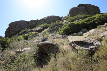 Enlarge photo 22