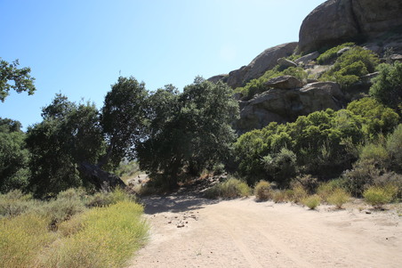 Enlarge photo 24