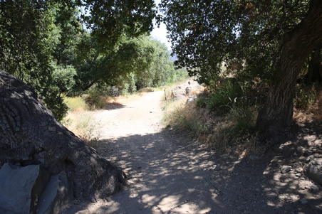 Enlarge photo 27