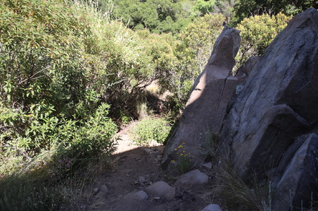 Enlarge photo 31
