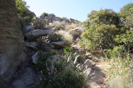 Enlarge photo 33