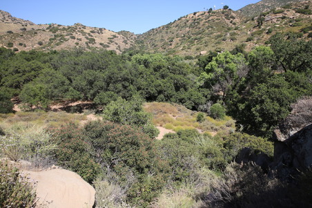 Enlarge photo 34
