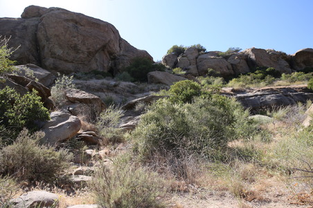 Enlarge photo 35