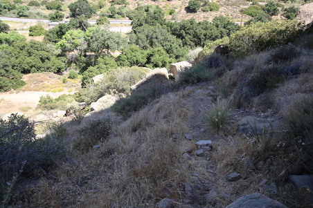 Enlarge photo 41