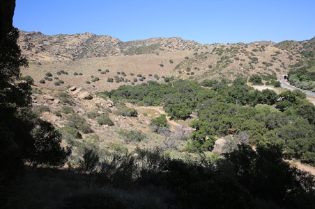 Enlarge photo 48