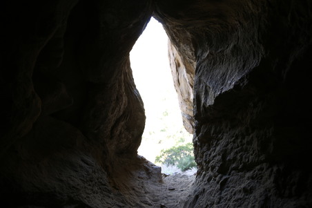 Enlarge photo 54