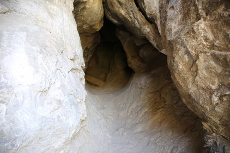 Enlarge photo 56