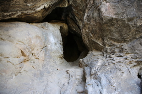 Enlarge photo 57