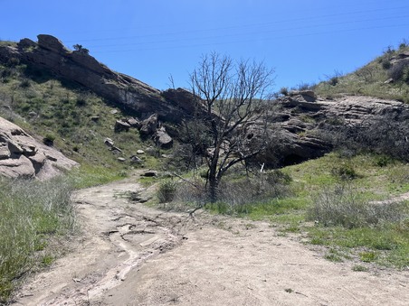Enlarge photo 23
