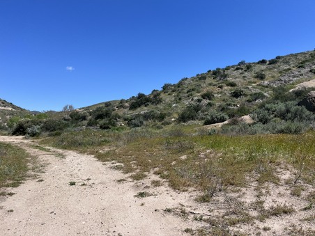 Enlarge photo 40