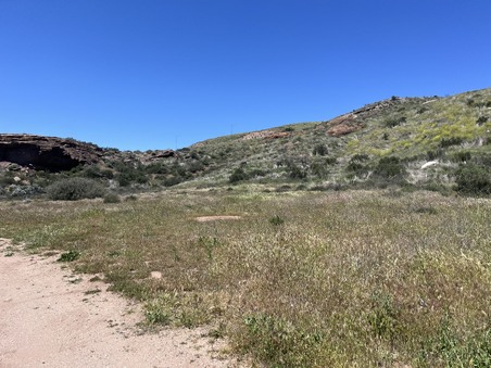 Enlarge photo 31