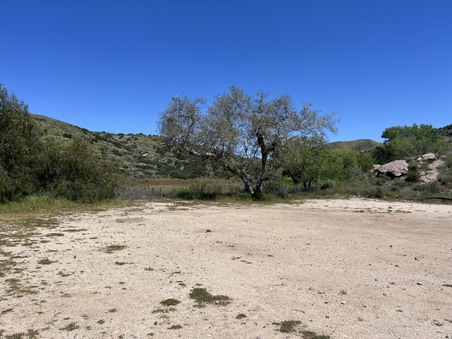 Enlarge photo 47