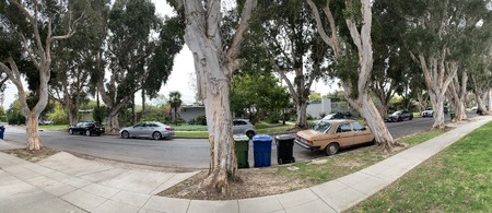 Enlarge photo 2