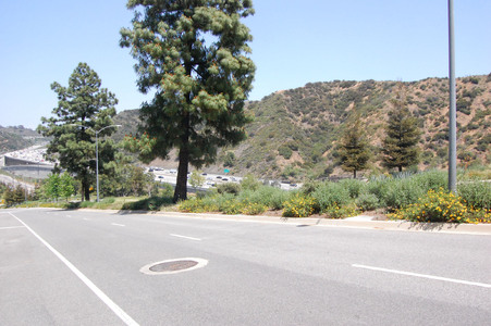 Enlarge photo 24