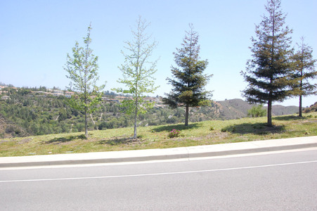 Enlarge photo 25