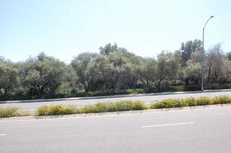 Enlarge photo 33