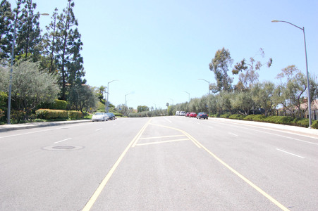 Enlarge photo 37