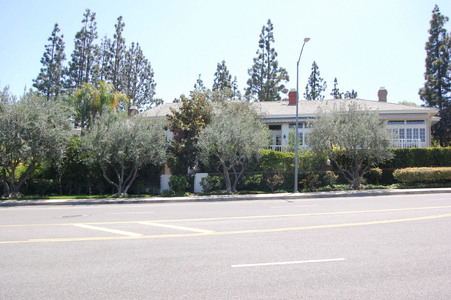 Enlarge photo 21