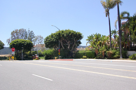 Enlarge photo 35