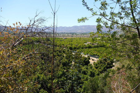 Enlarge photo 5