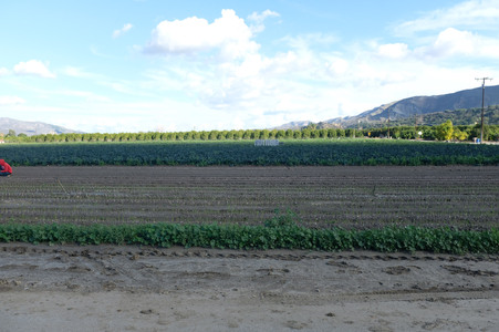 Enlarge photo 5