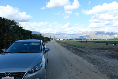 Enlarge photo 8