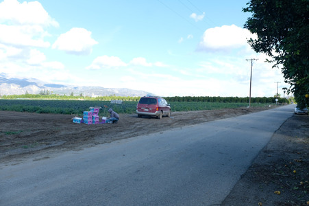 Enlarge photo 10