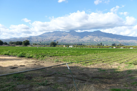 Enlarge photo 9