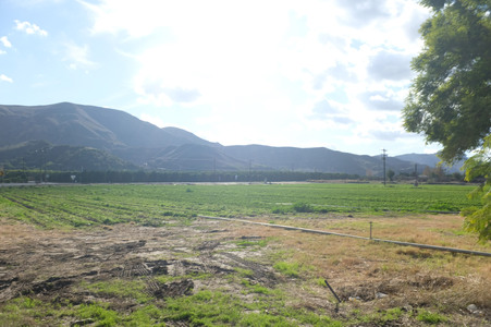 Enlarge photo 13
