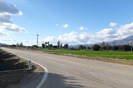 Enlarge photo 16