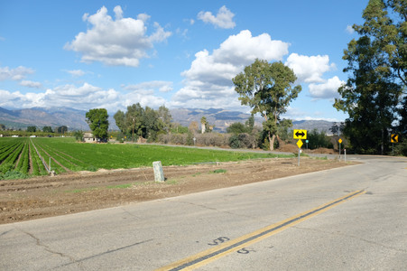 Enlarge photo 18