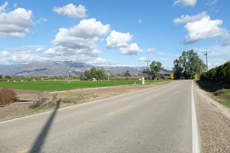 Enlarge photo 21