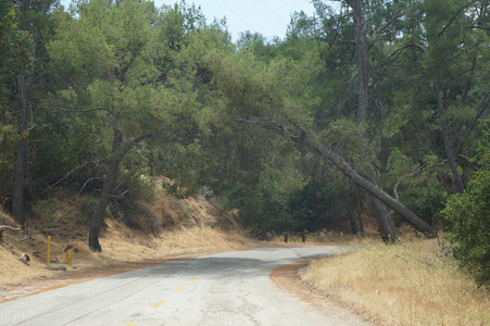 Enlarge photo 6