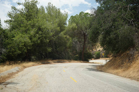 Enlarge photo 7