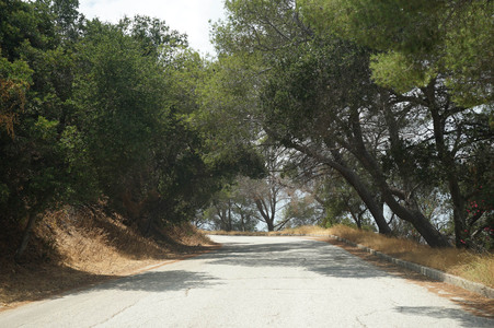 Enlarge photo 10
