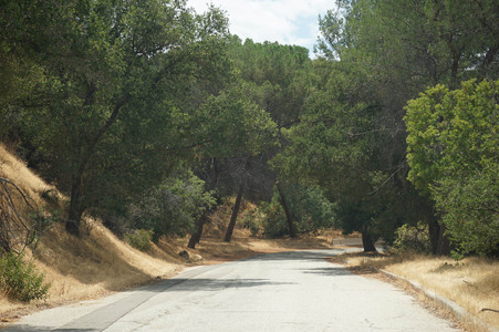 Enlarge photo 12