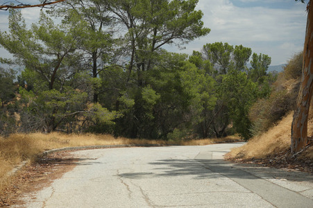 Enlarge photo 13