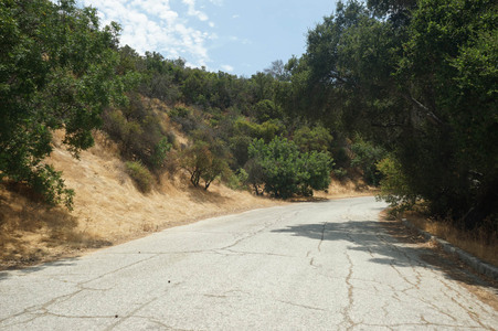 Enlarge photo 14