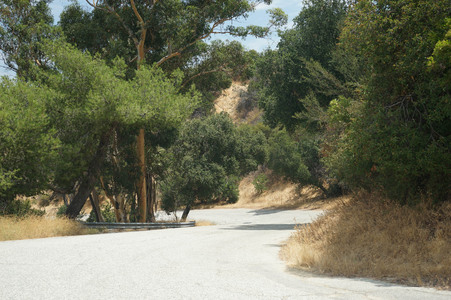 Enlarge photo 17