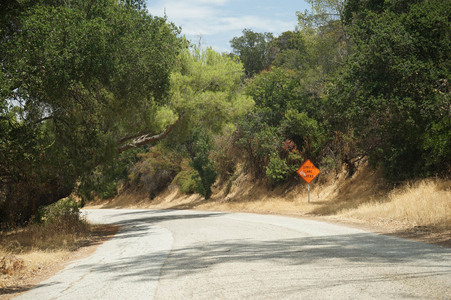 Enlarge photo 19