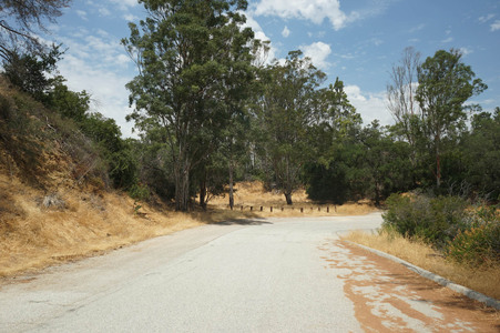 Enlarge photo 21