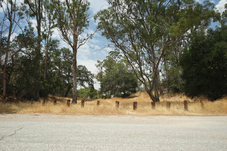 Enlarge photo 22